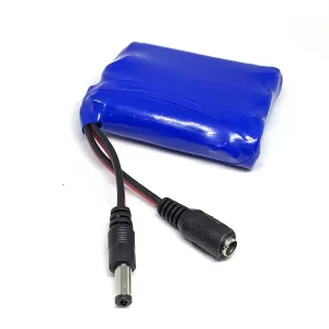 Lithium-Ion Battery Li-Ion 2200MAH 11.1V Rechargeable Battery 1C with BMS charge protection